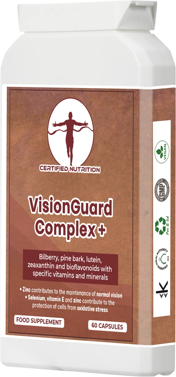 VisionGuard