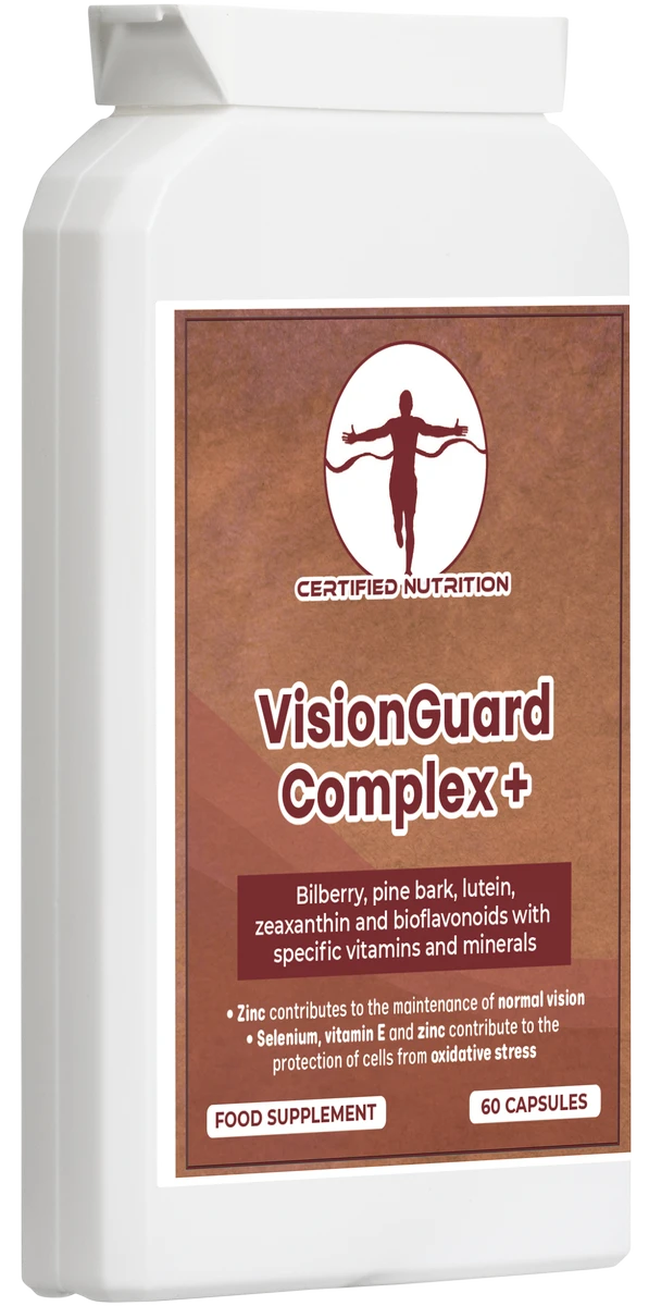 VisionGuard